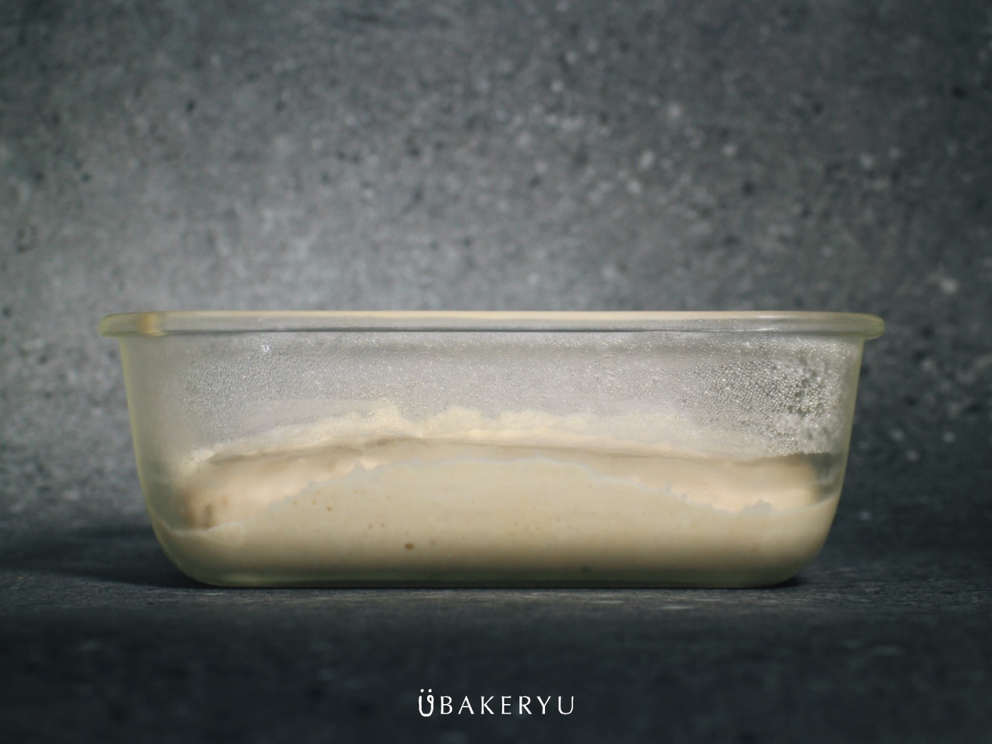 優格中種-冷藏發酵後@ubakeryu