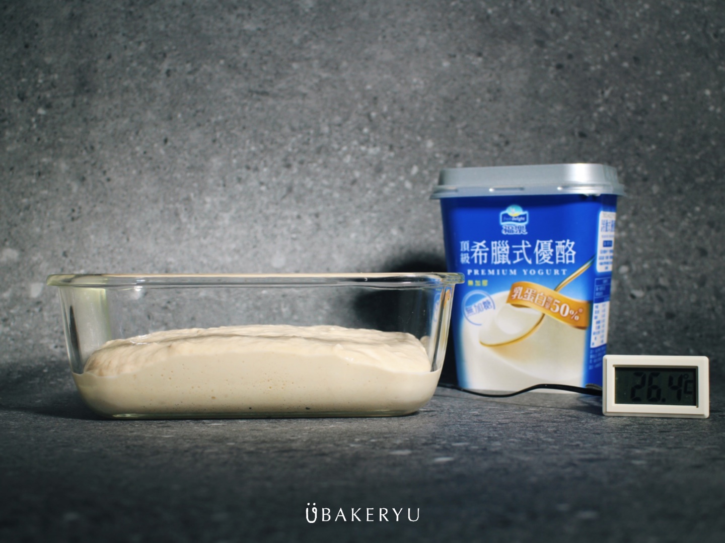 優格中種-室溫發酵後@ubakeryu