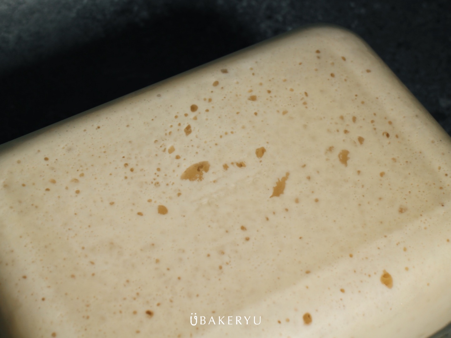 優格中種-發酵氣泡@ubakeryu