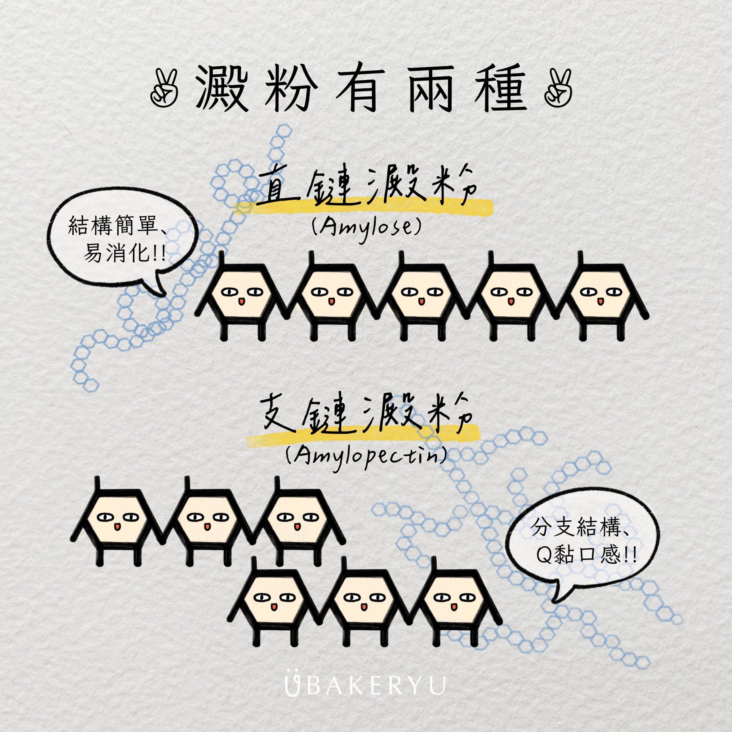 澱粉的分類_直鏈支鏈@ubakeryu
